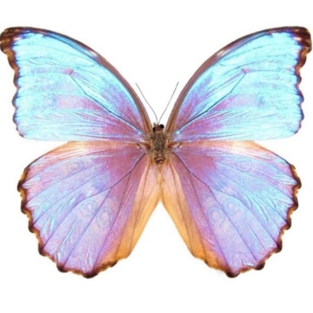 Lululemon bundle - image 1